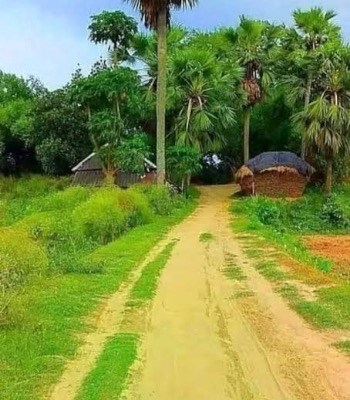 ইন্দ্র শিকদার