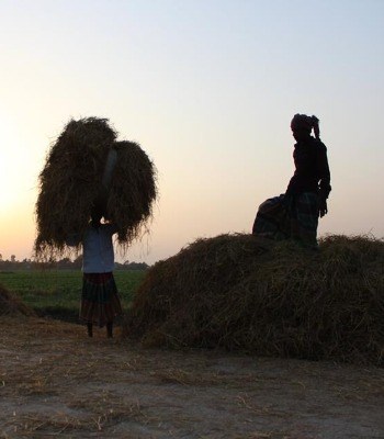 দেলোয়ার আকরাম